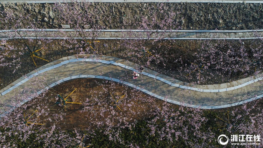 2019第四屆亞太電池展亞洲動(dòng)力電池與儲(chǔ)能技術(shù)峰會(huì)暨展覽會(huì)