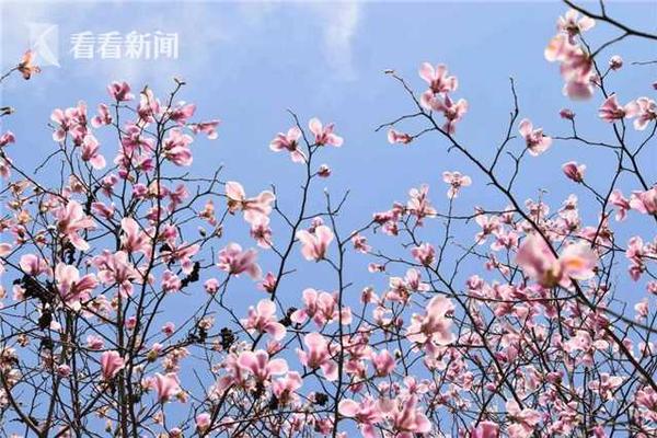 首個物聯(lián)網(wǎng)與新能源產(chǎn)業(yè)跨界合作平臺在無錫成立
