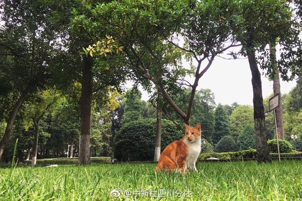 《心居》：折射中國人被房子綁架的唏噓百態